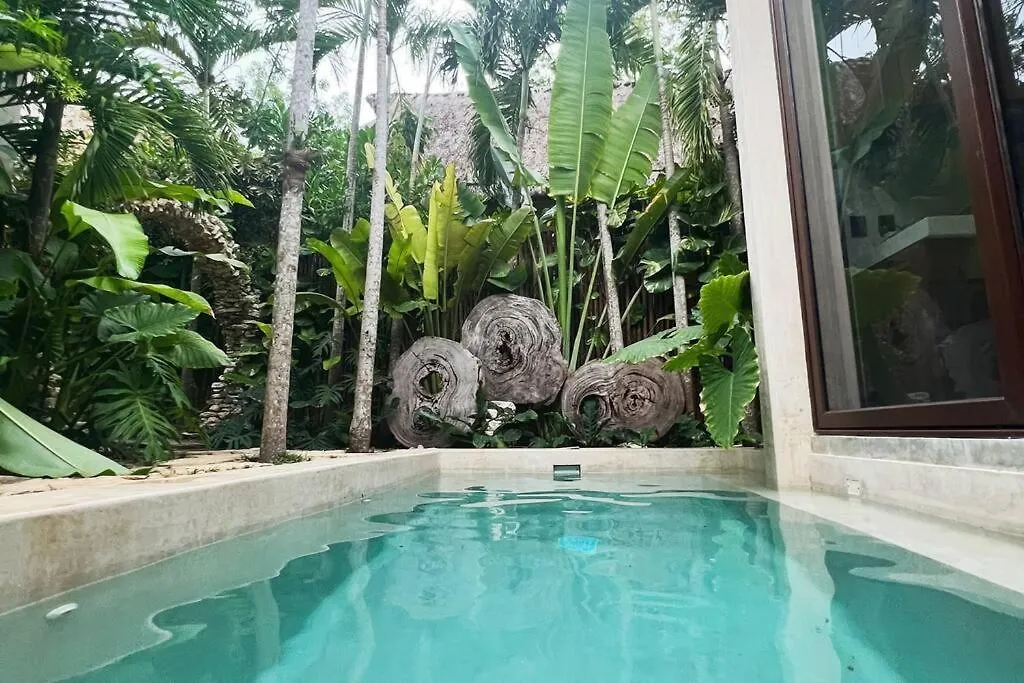 Jungle Oasis - Villa With Private Pool Tulum